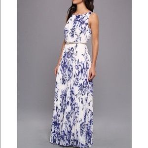 Eliza J Blue and White Maxi Dress